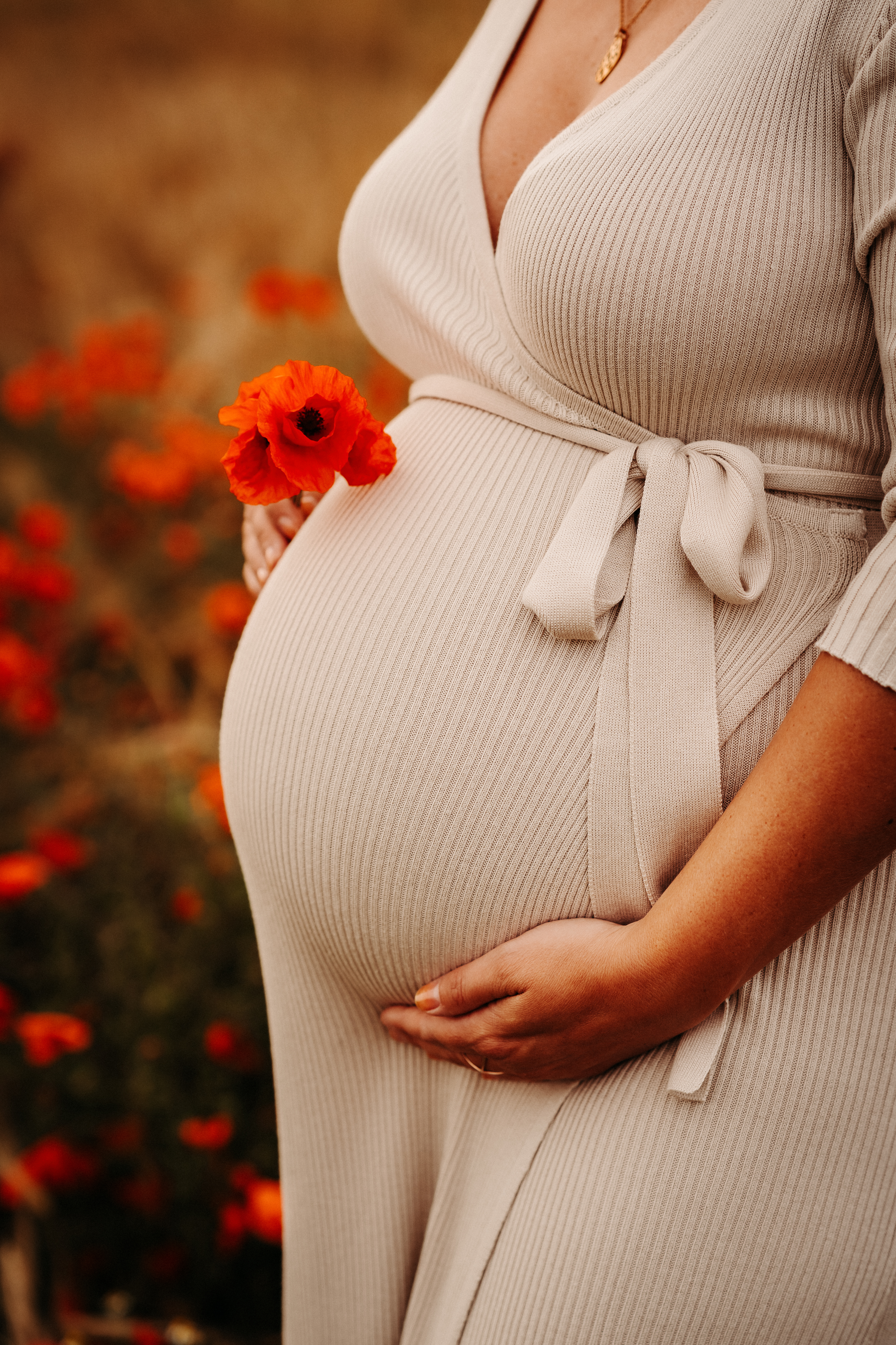 Image d'illustration de l'article Petit lexique de la grossesse